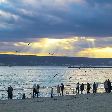 Heart Of The Ostello *