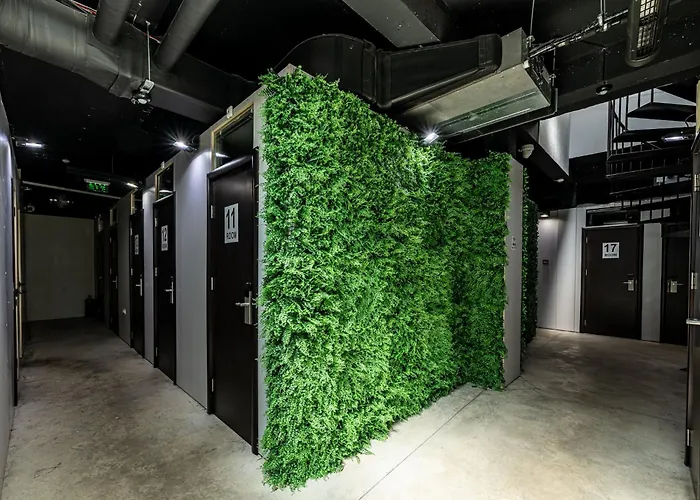 Heart Of The Albergue Varna