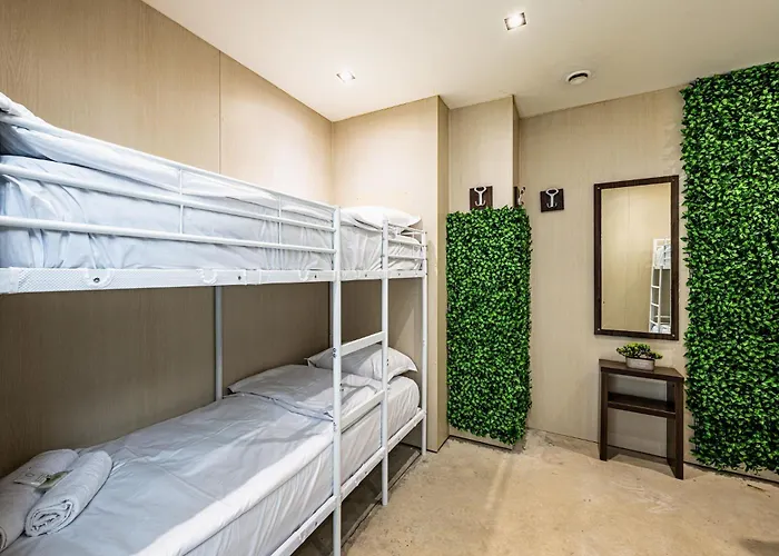 Heart Of The Albergue