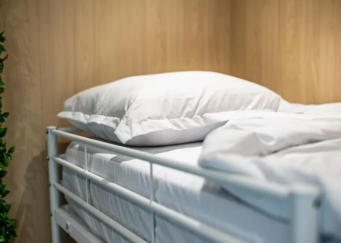 Heart Of The Albergue