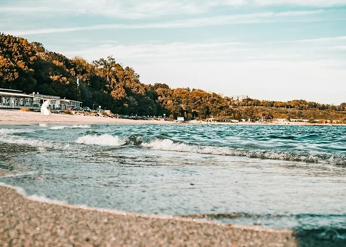 Heart Of The 瓦爾納