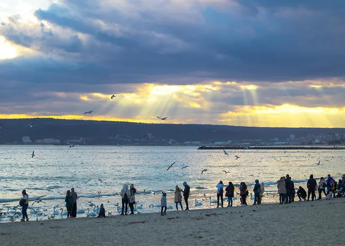 Heart Of The 旅馆 *